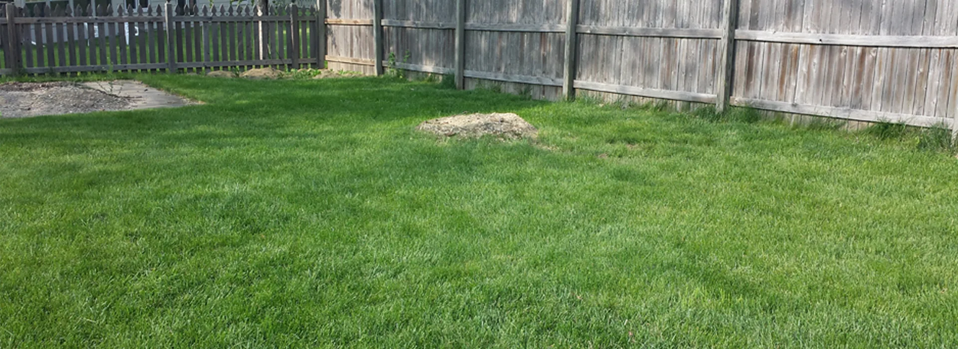 2 Guys Tree Service gallery 2