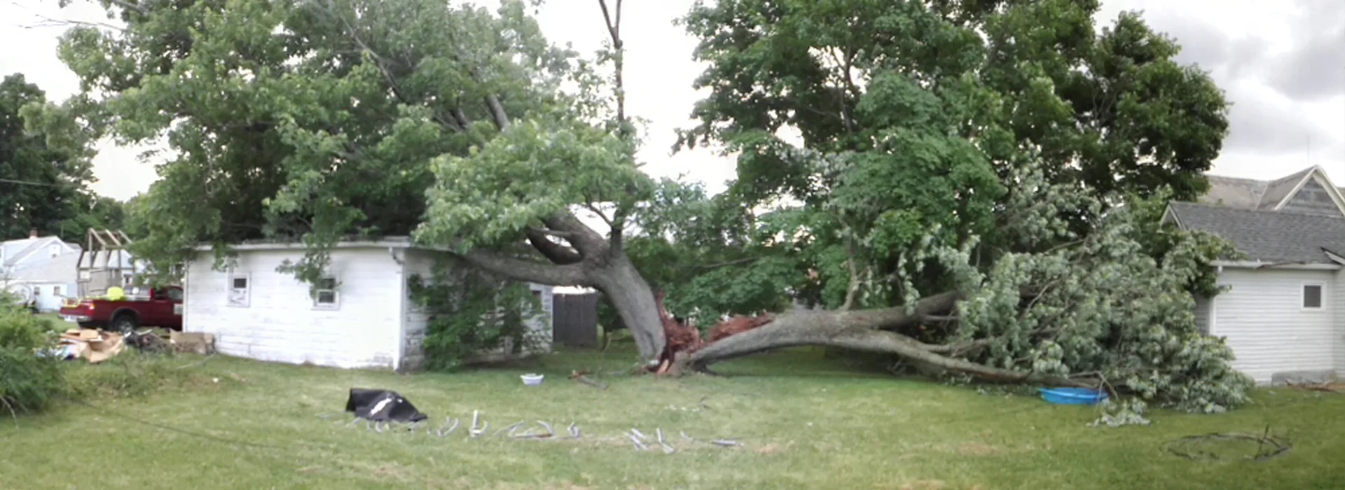 2 Guys Tree Service gallery 3