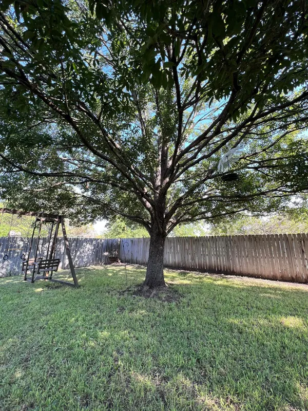 210 Tree Care gallery 3