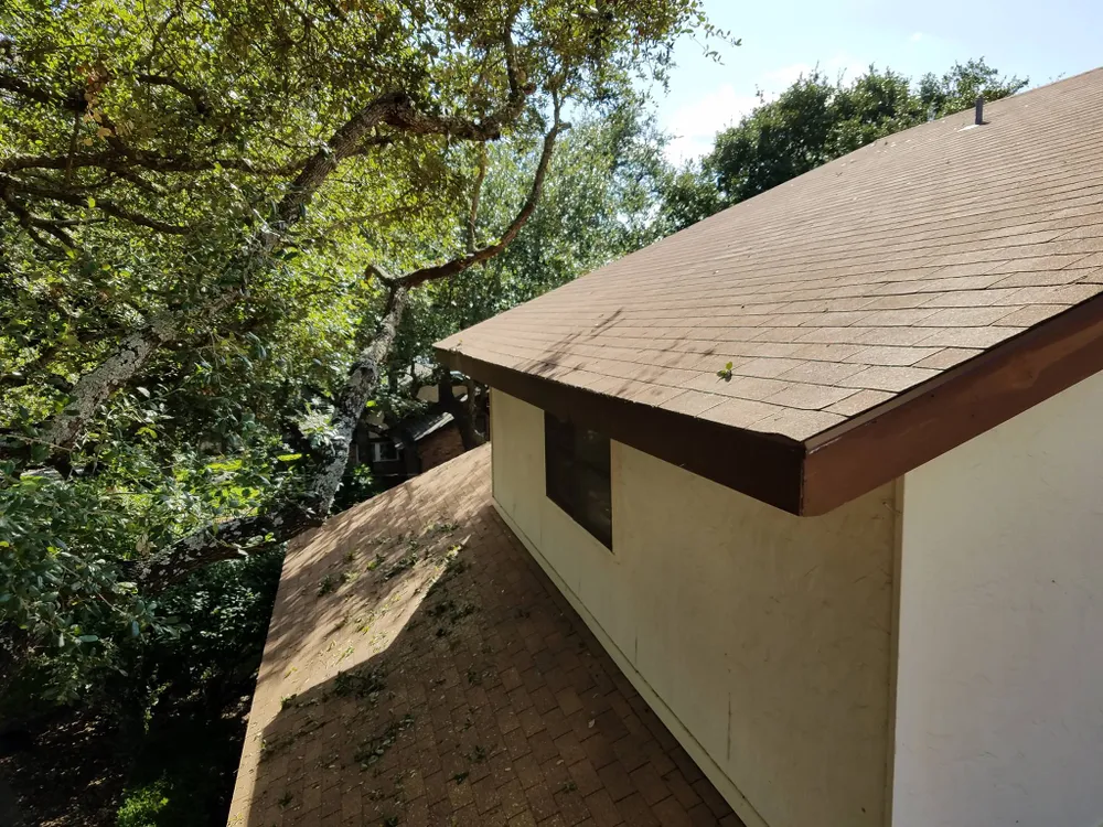 210 Tree Care gallery 7