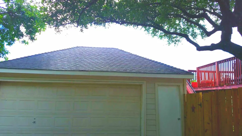210 Tree Care gallery 8