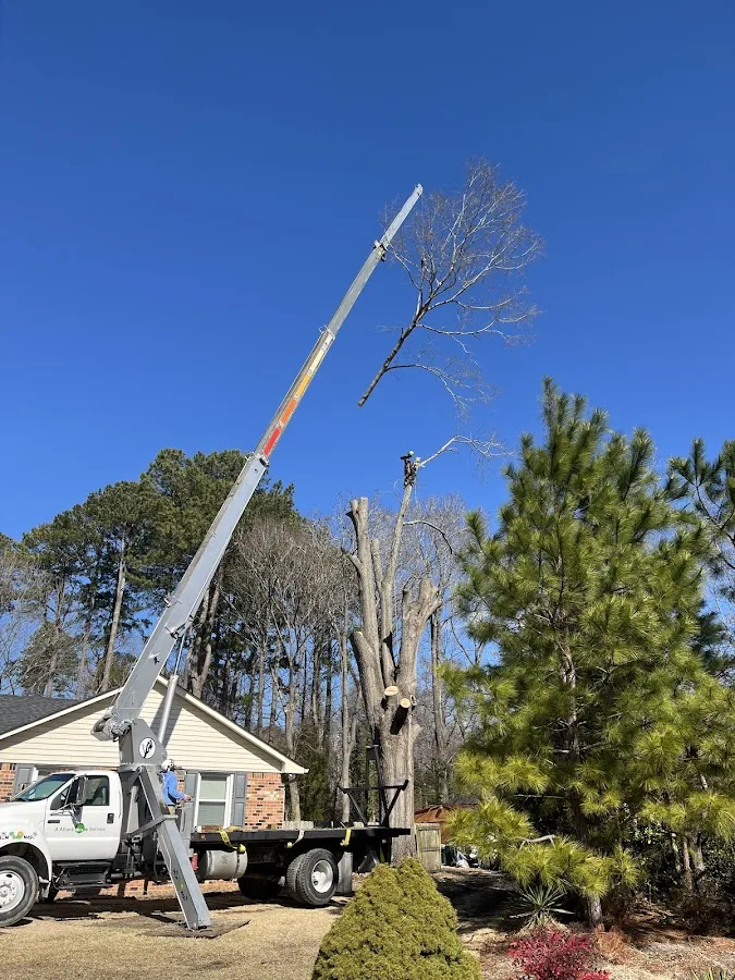 A Atlantic Tree Service