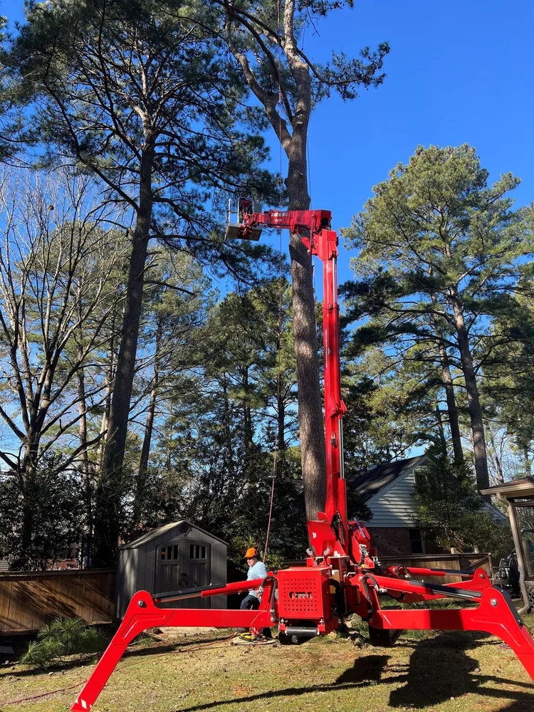 A Atlantic Tree Service gallery 2