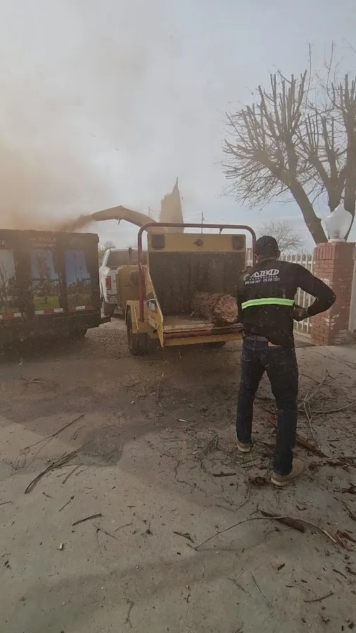A.B.O Tree Service