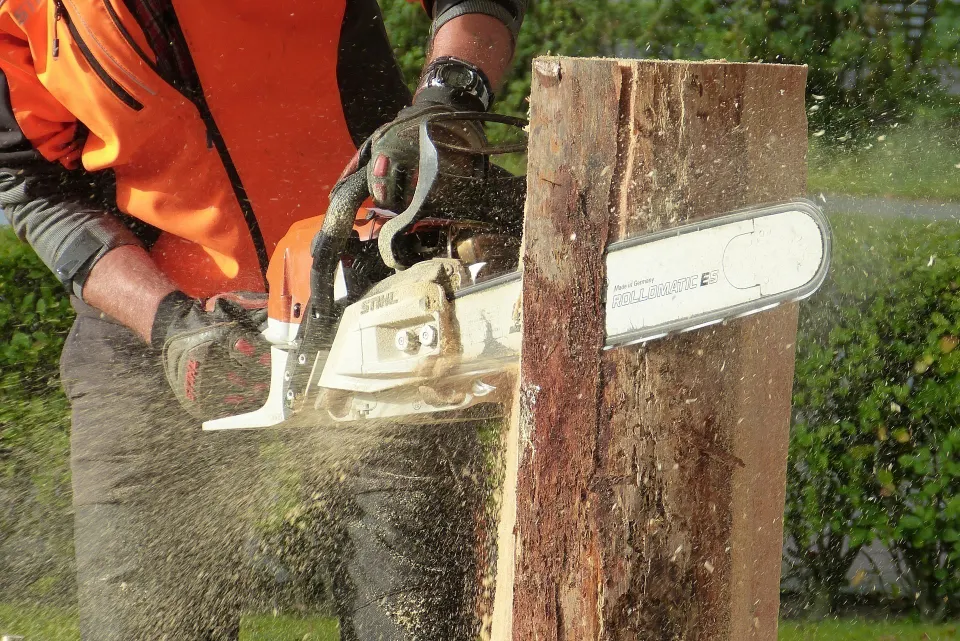 A Cut Above The Rest Tree & Landscaping, LLC gallery 3