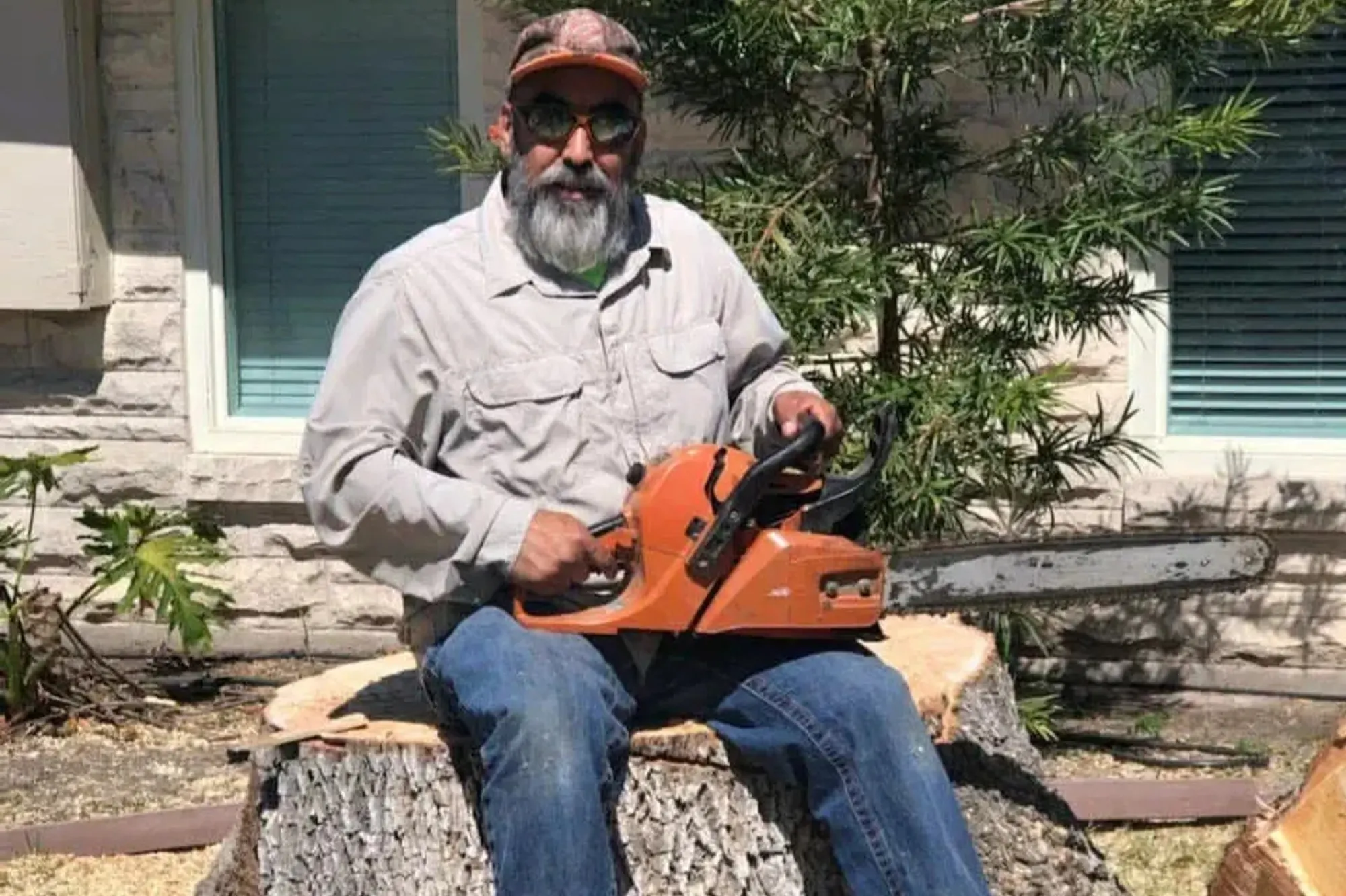 A Cut Above The Rest Tree & Landscaping, LLC gallery 4