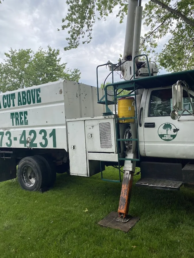A Cut Above Tree Service