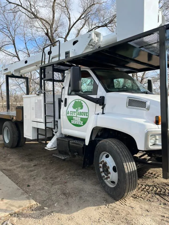 A Cut Above Tree Service gallery 2