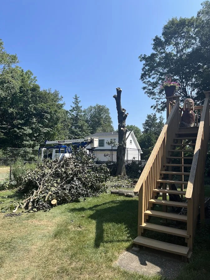 A.Kreta and Son Tree and Stump Removal