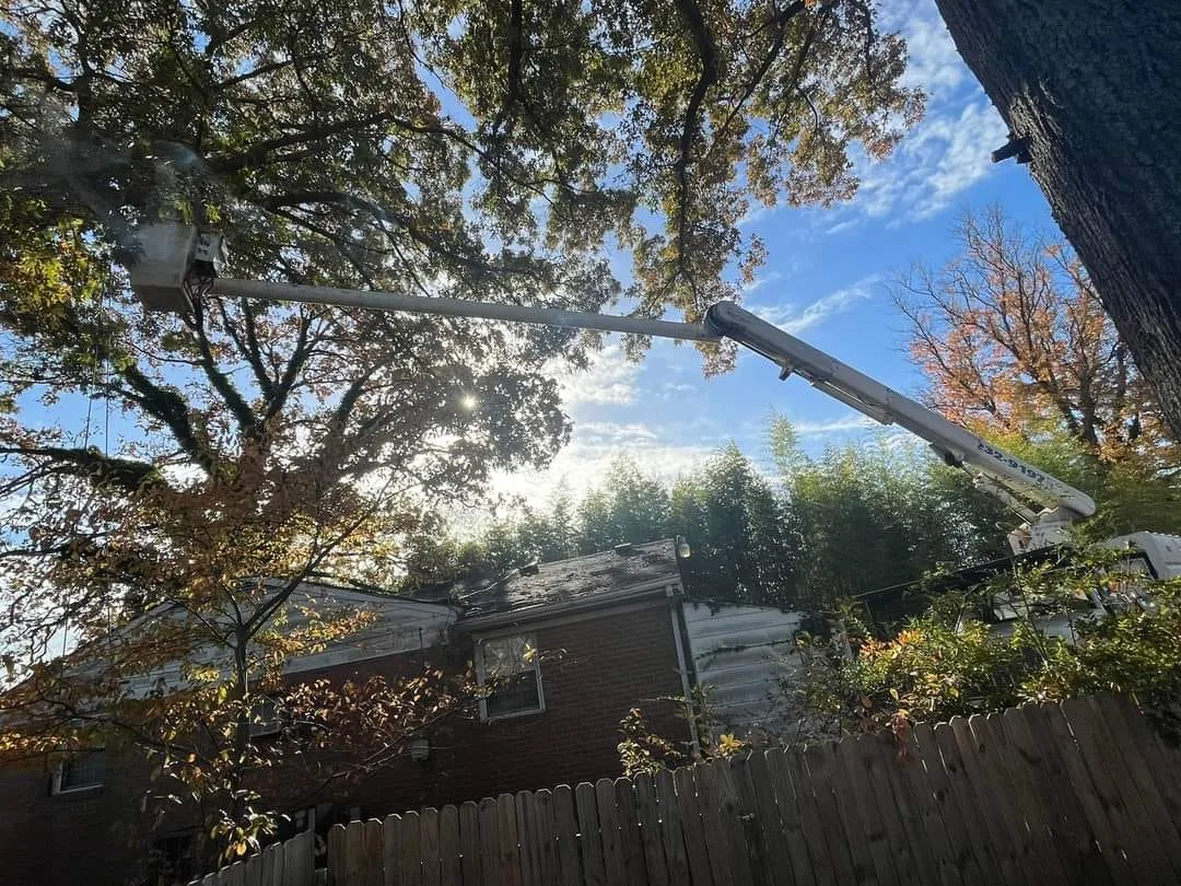 A Top To Bottom Tree & Lawn Service gallery 7
