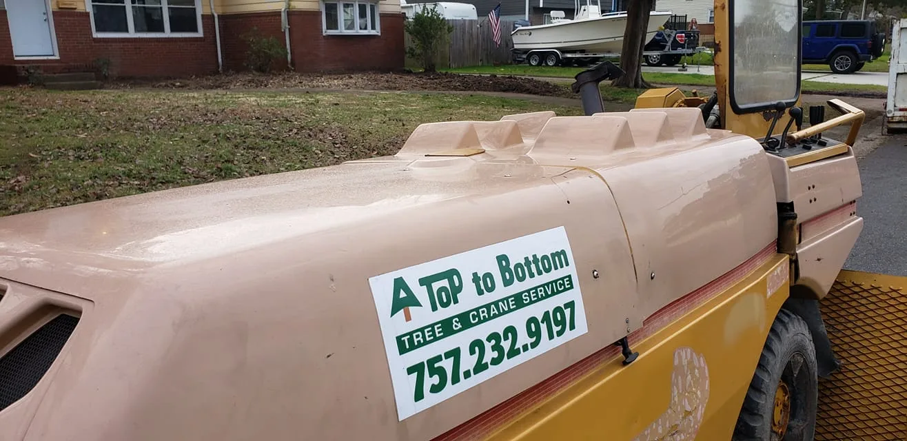 A Top To Bottom Tree & Lawn Service gallery 8