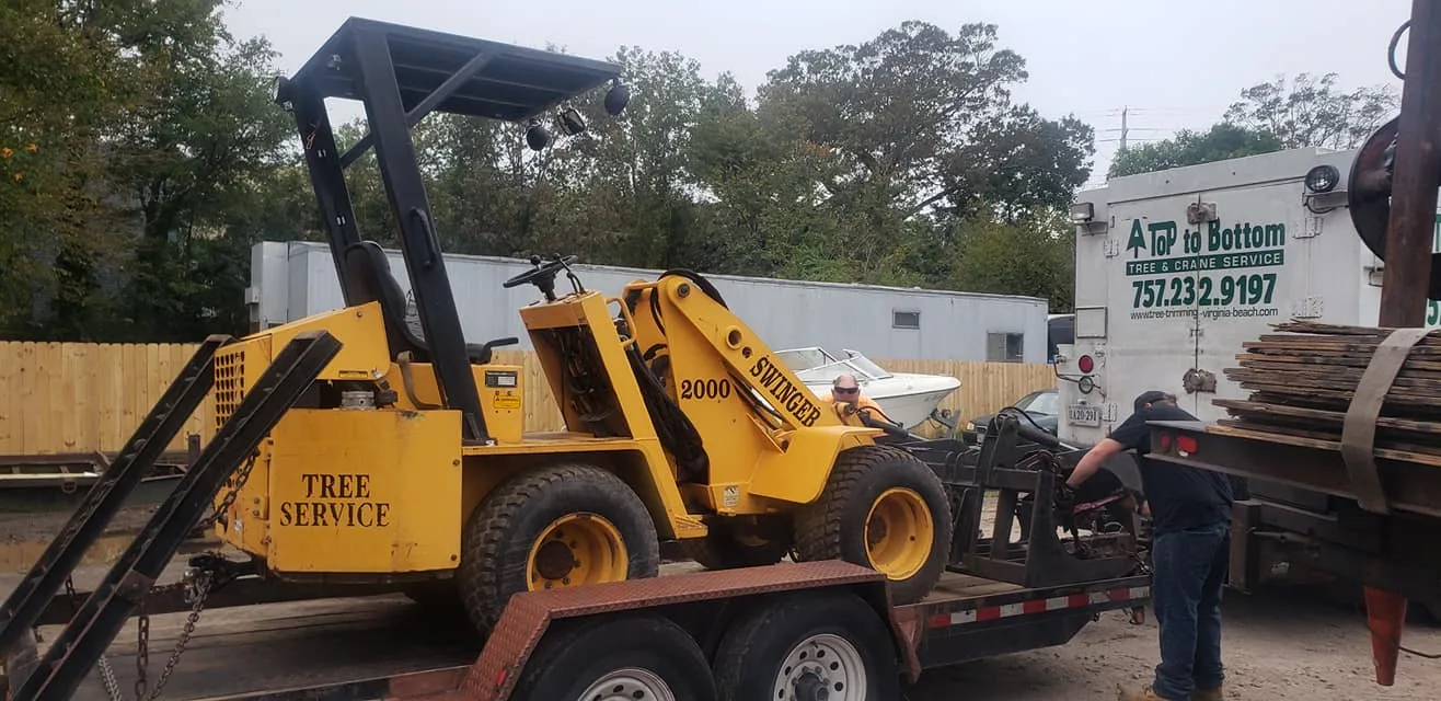 A Top To Bottom Tree & Lawn Service gallery 10