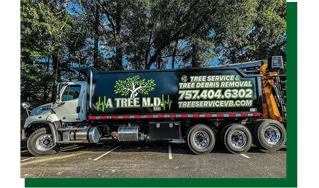 A Tree M.D. LLC gallery 8