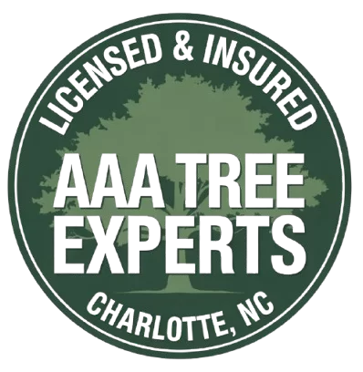 AAA Tree Experts gallery 4