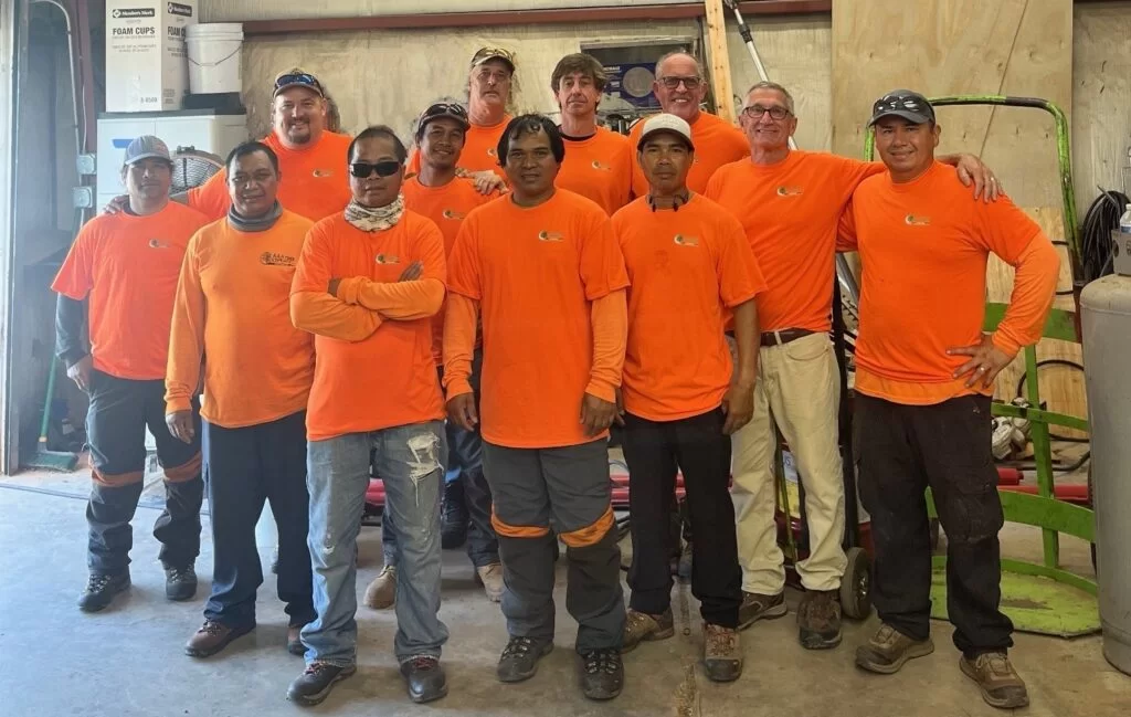 AAA Tree Experts gallery 6