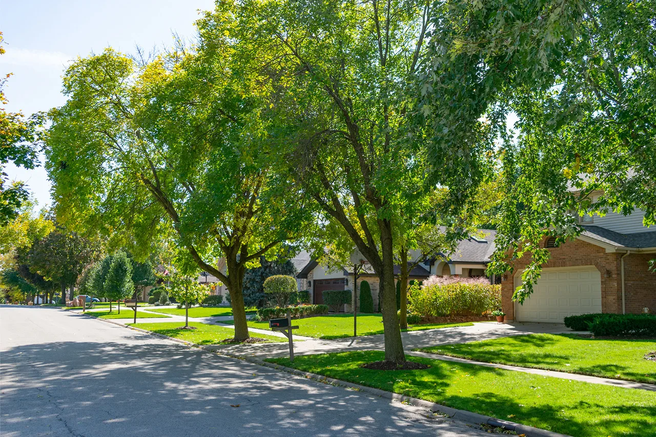 Action Tree Service, LLC gallery 7