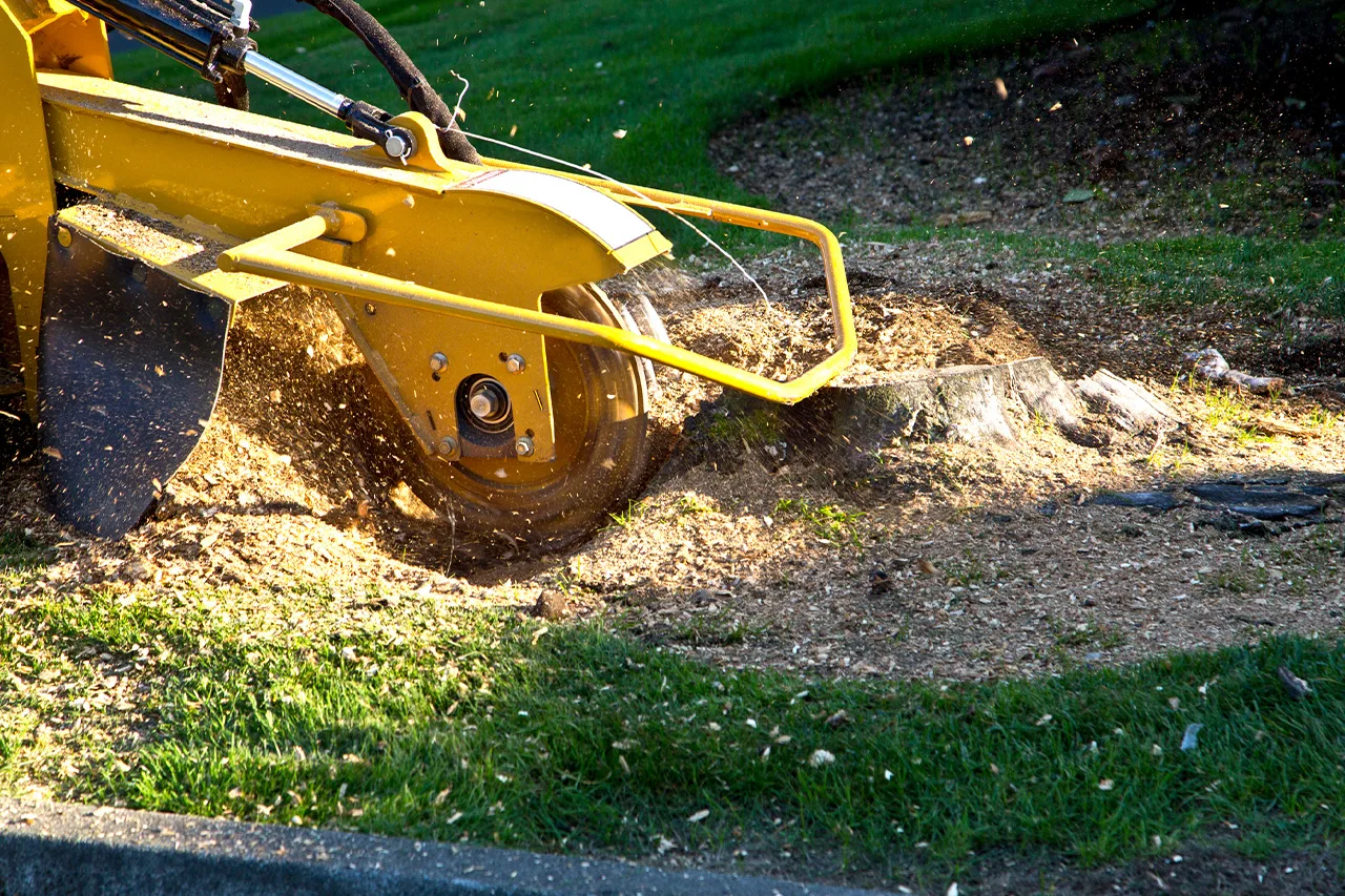 Action Tree Service, LLC gallery 9