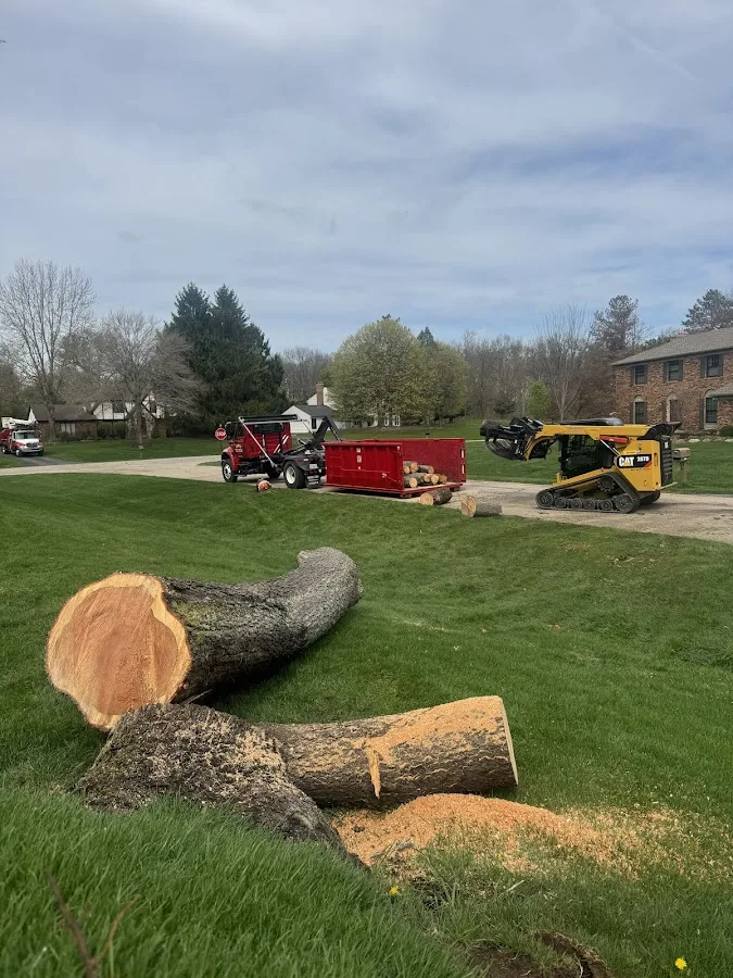 Adam's Tree Service