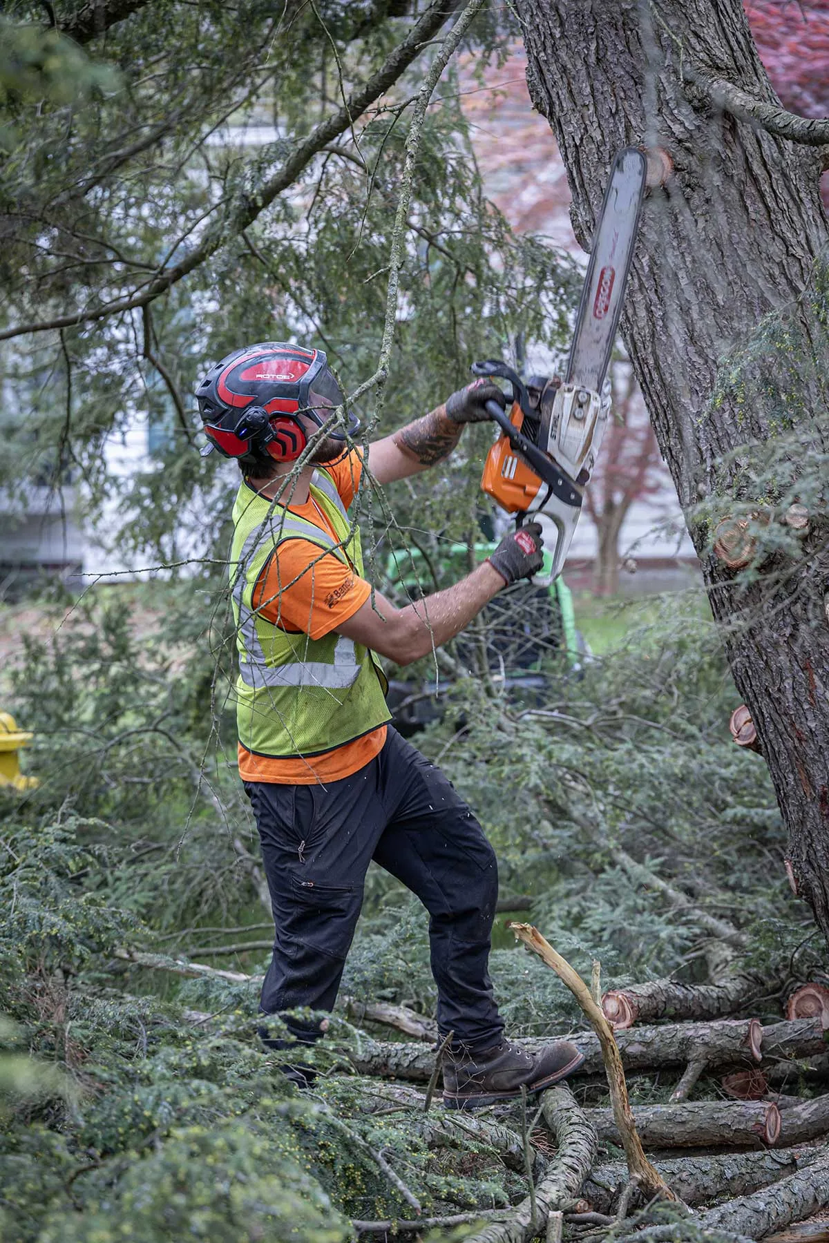 Advantage Tree Service gallery 5