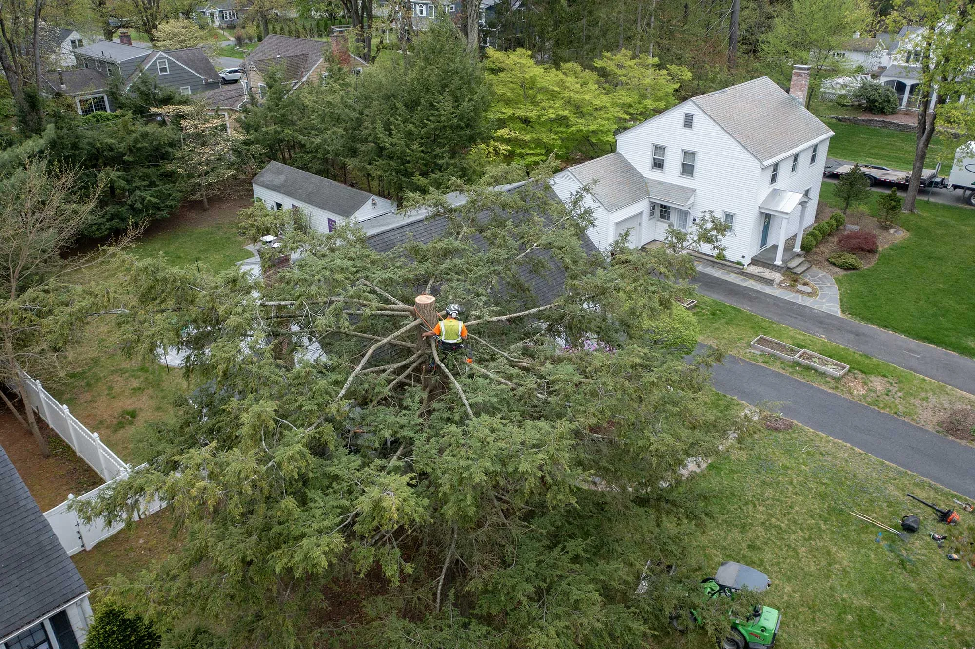 Advantage Tree Service gallery 6