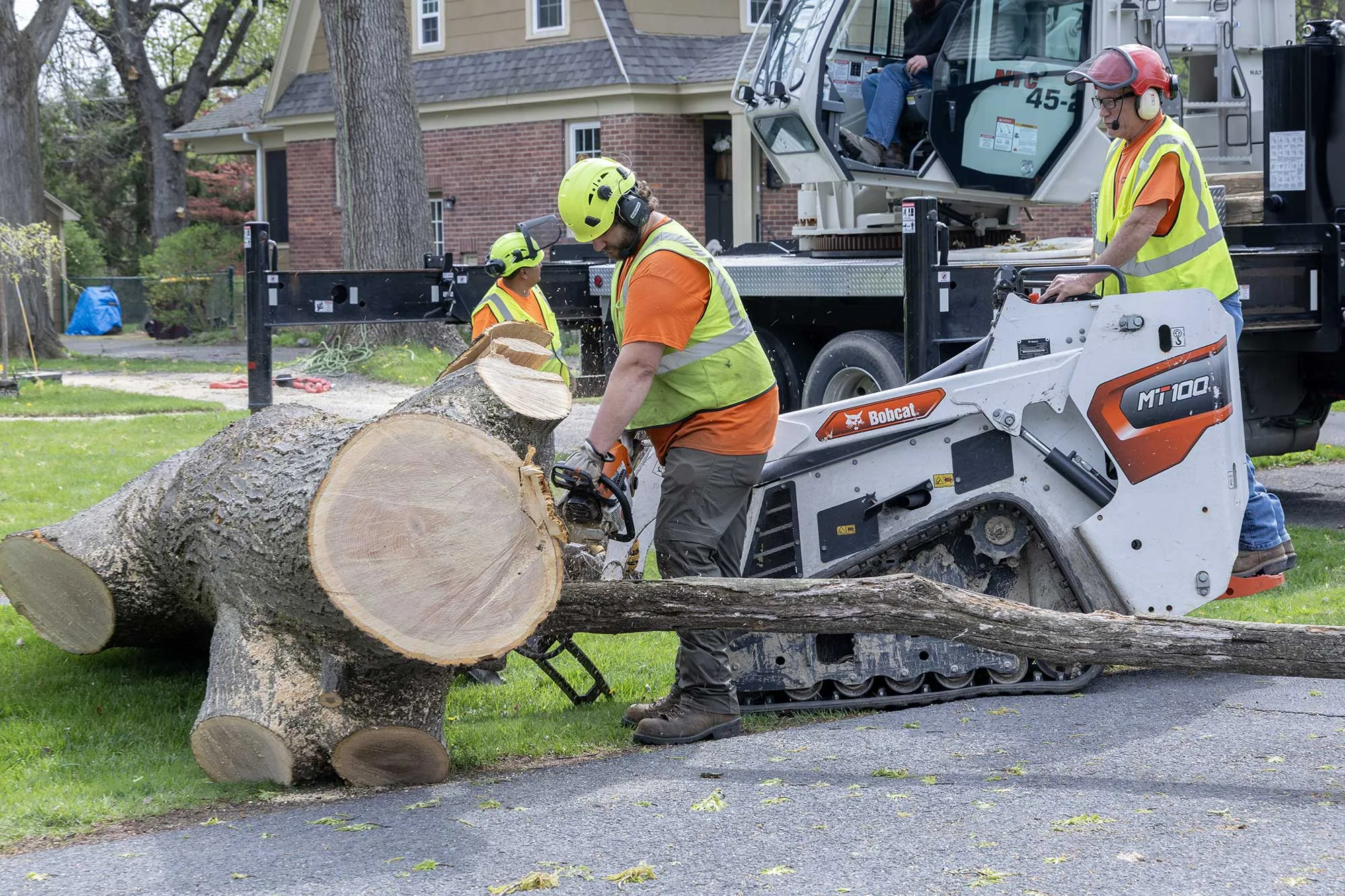 Advantage Tree Service gallery 7
