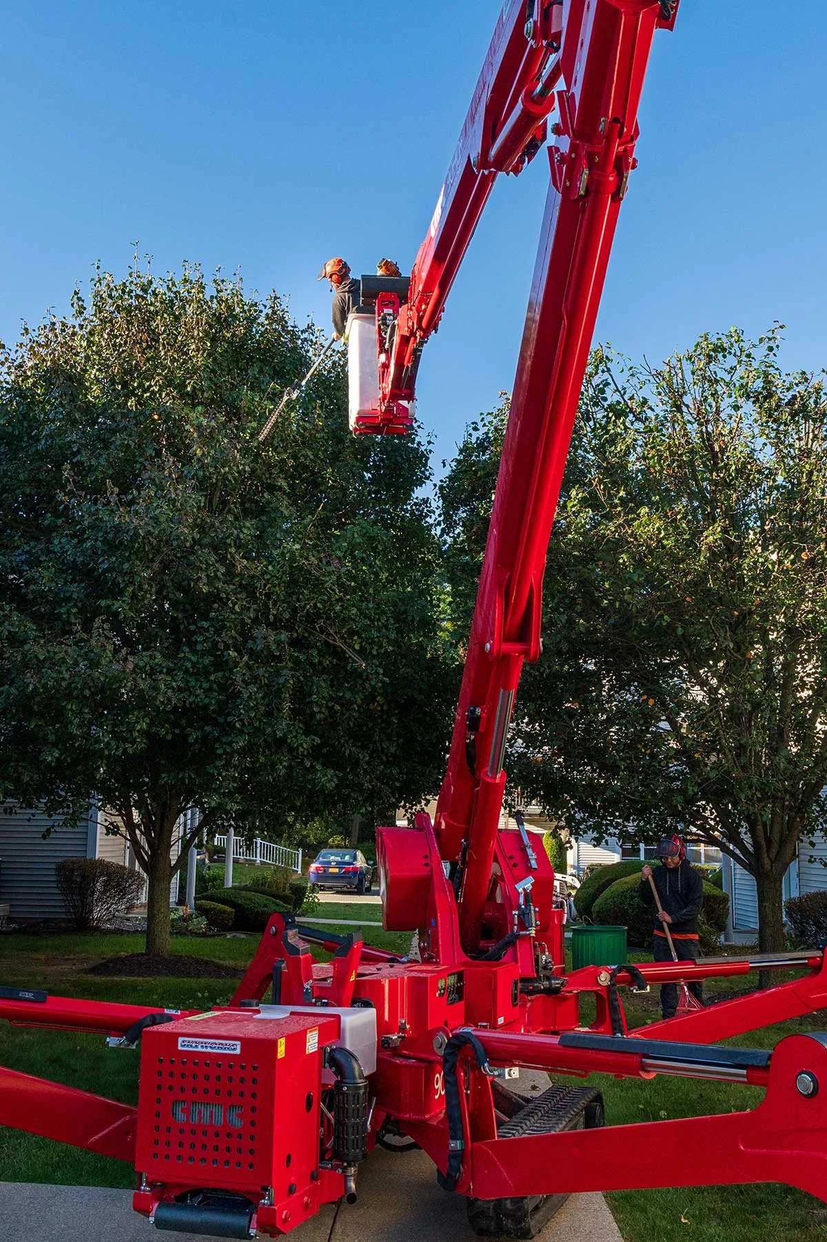 Advantage Tree Service gallery 8