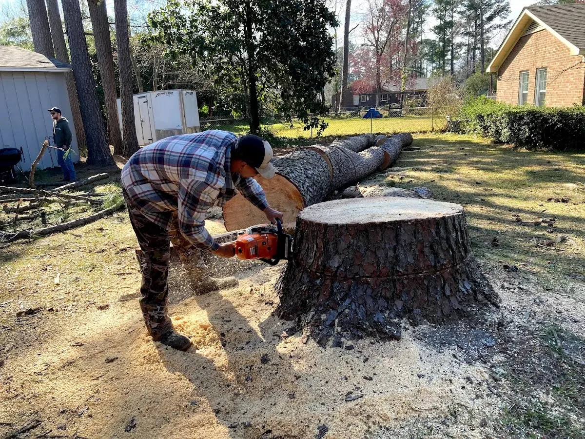 Affordable Tree Service Charlotte