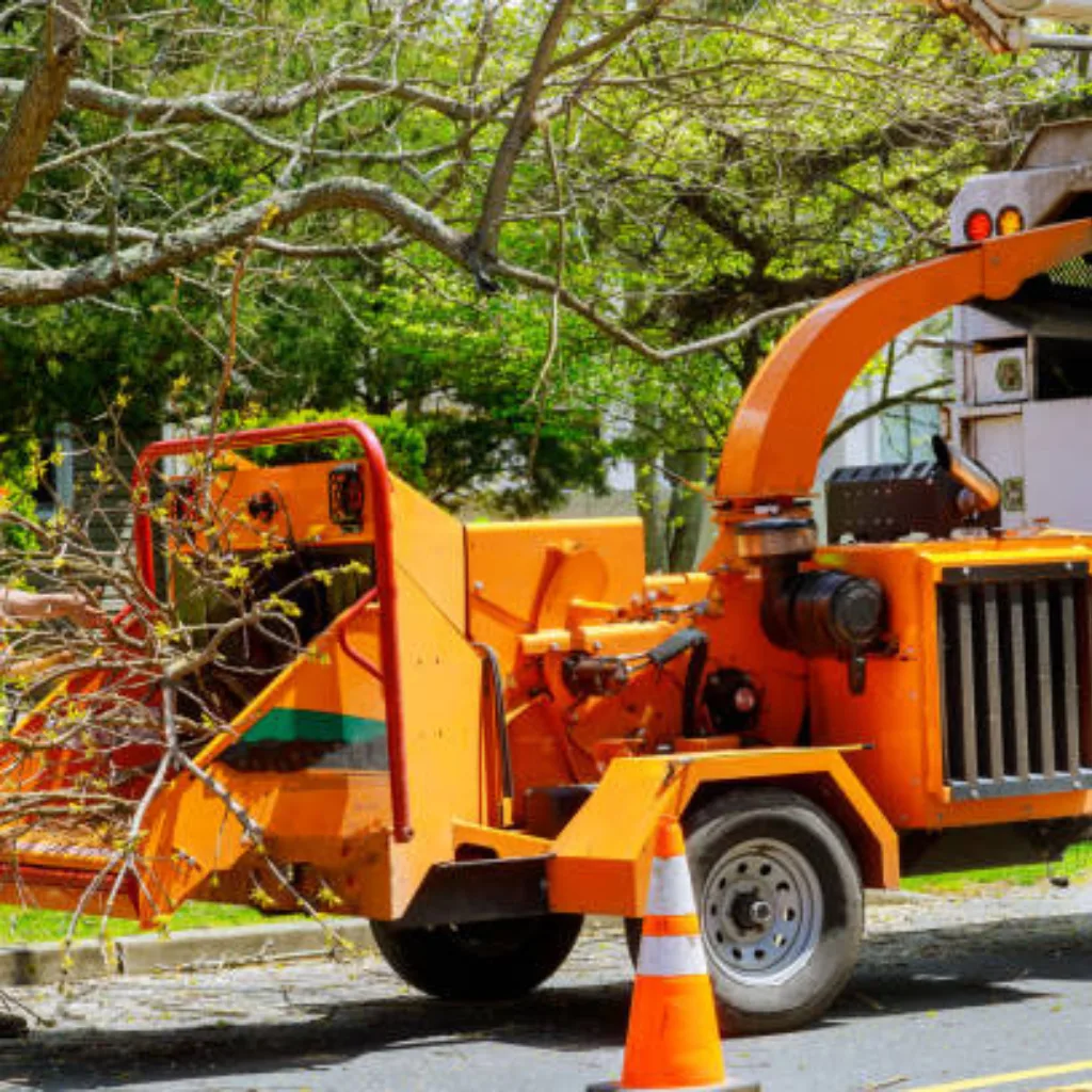 Affordable Tree Service Charlotte gallery 7