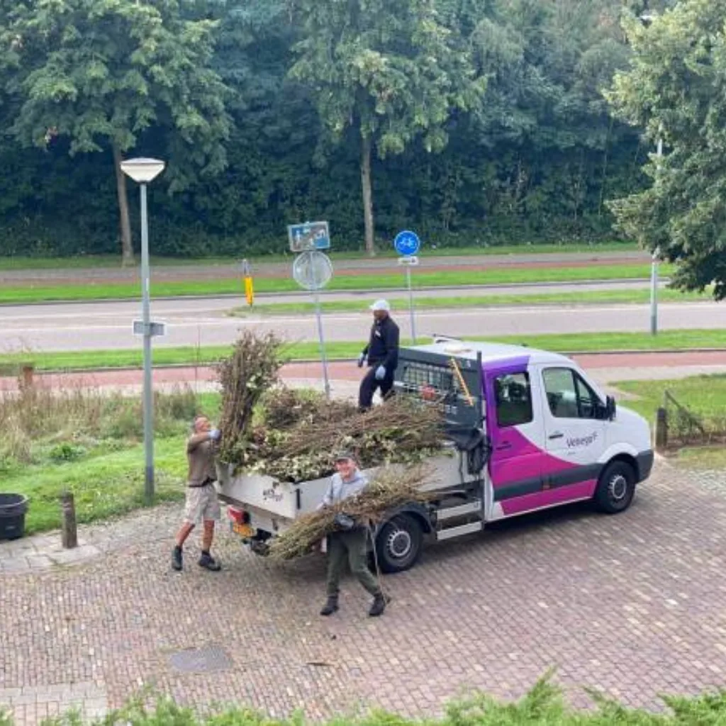 Affordable Tree Service Charlotte gallery 8