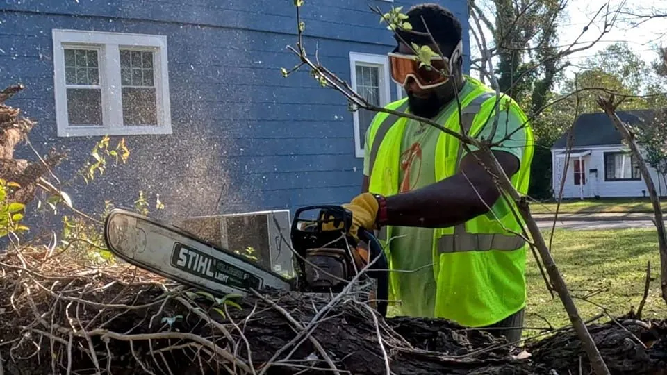 AJ's Tree Removal gallery 2