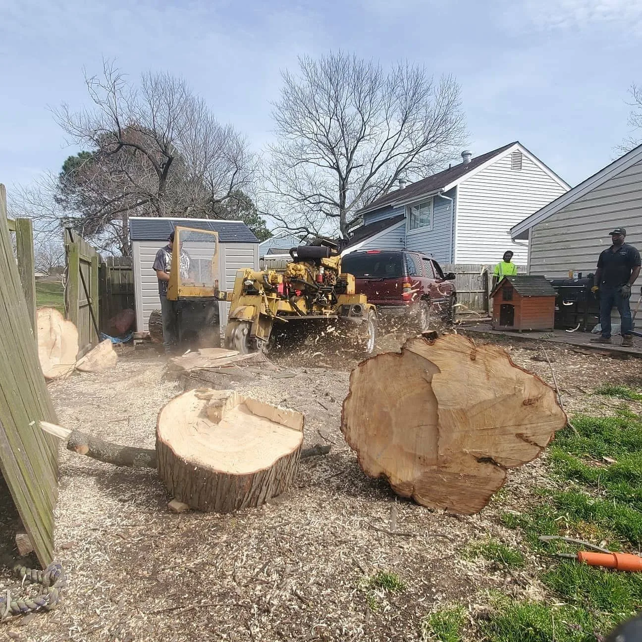 AJ's Tree Removal gallery 3