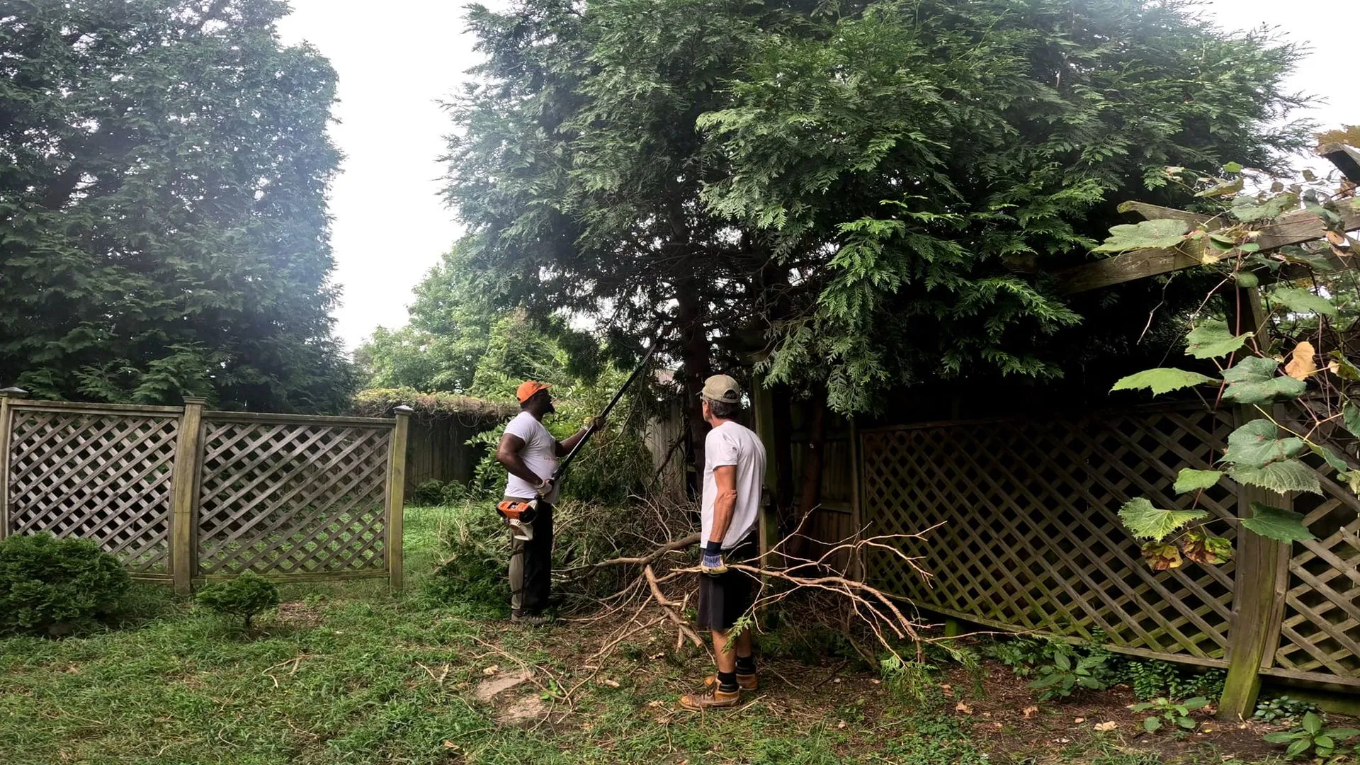 AJ's Tree Removal gallery 6