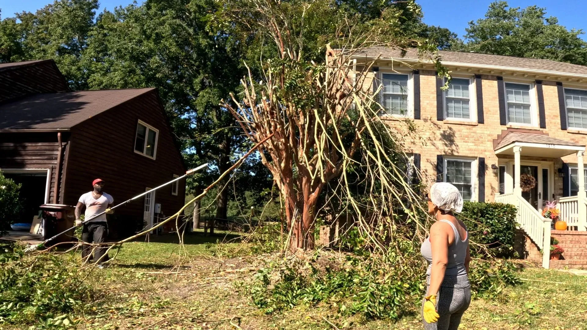 AJ's Tree Removal gallery 7