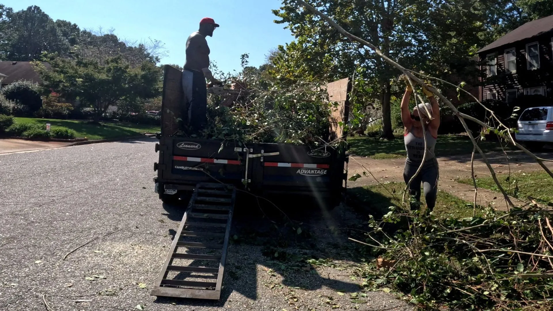 AJ's Tree Removal gallery 8
