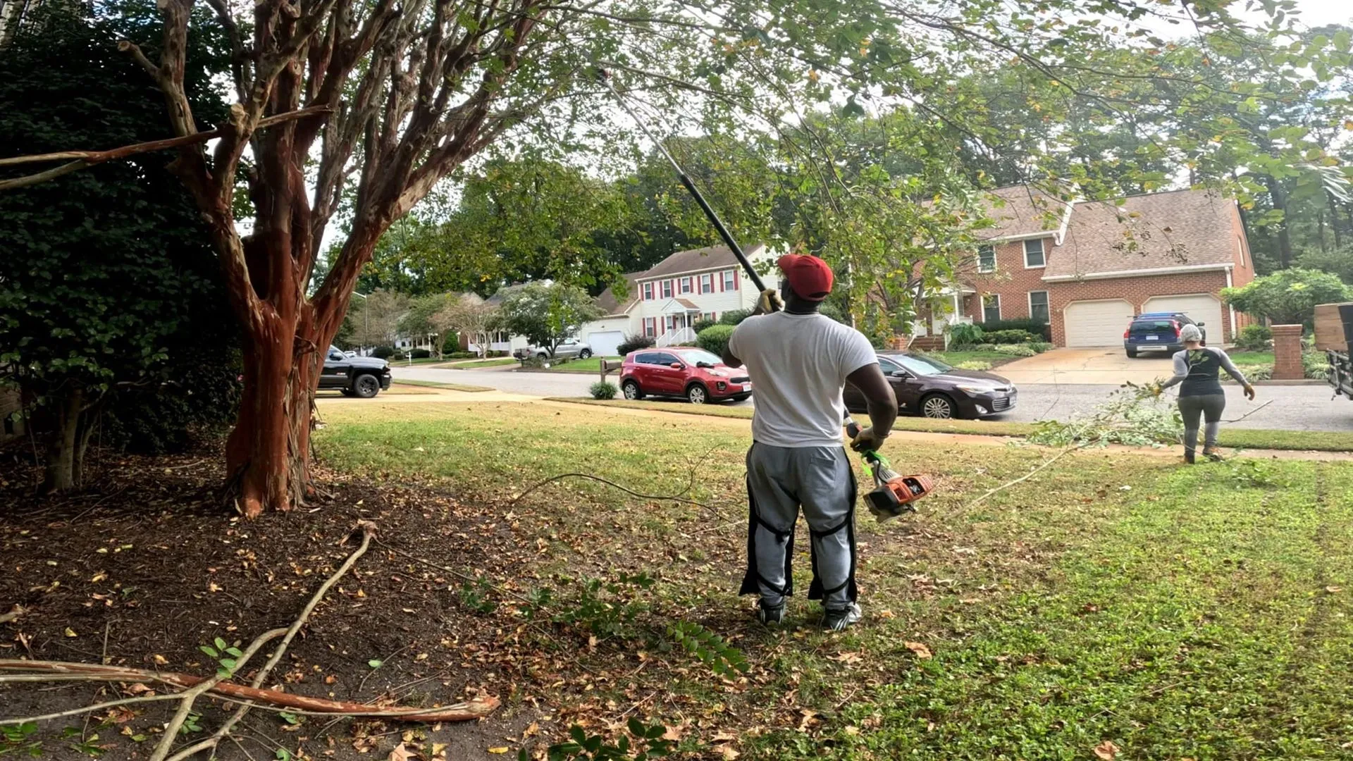 AJ's Tree Removal gallery 9