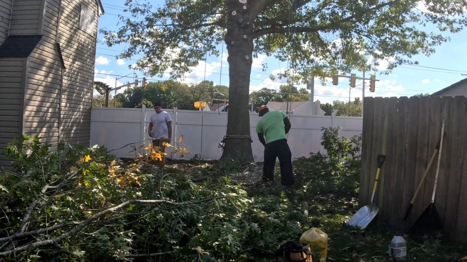 AJ's Tree Removal gallery 10