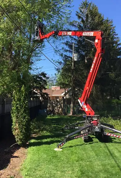Al's Tree Service gallery 2