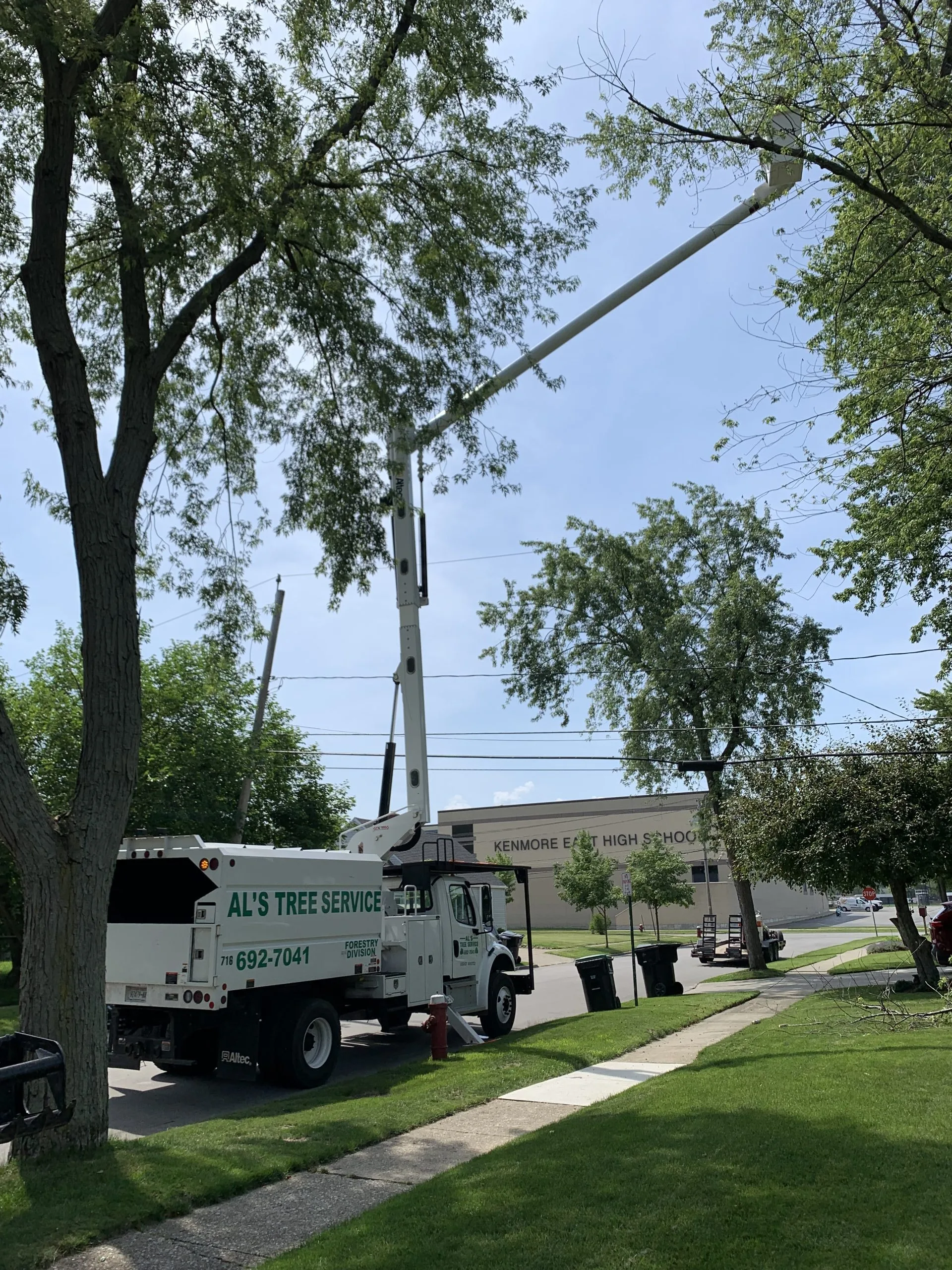 Al's Tree Service gallery 3