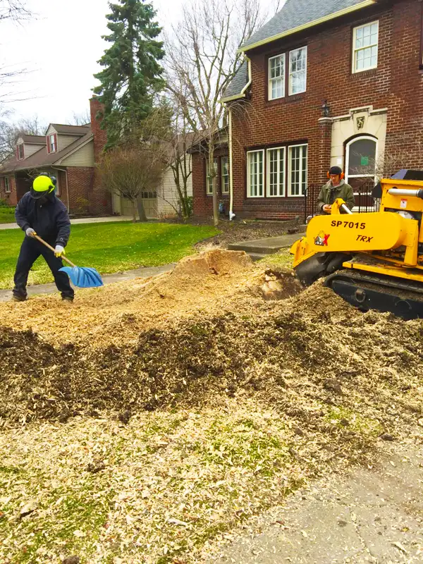 Al's Tree Service gallery 8