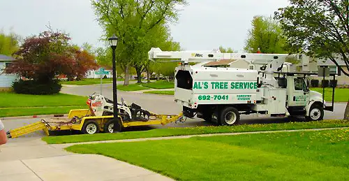 Al's Tree Service gallery 9