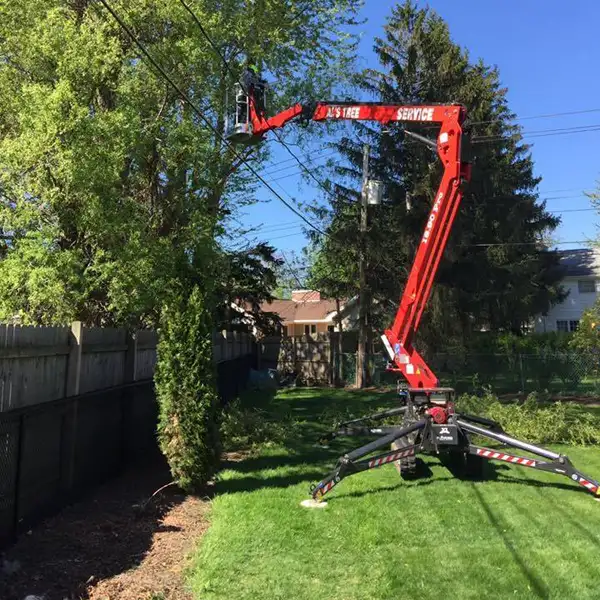 Al's Tree Service gallery 10