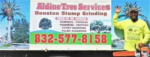 Aldine Tree Services Houston Stump Grinding gallery 2