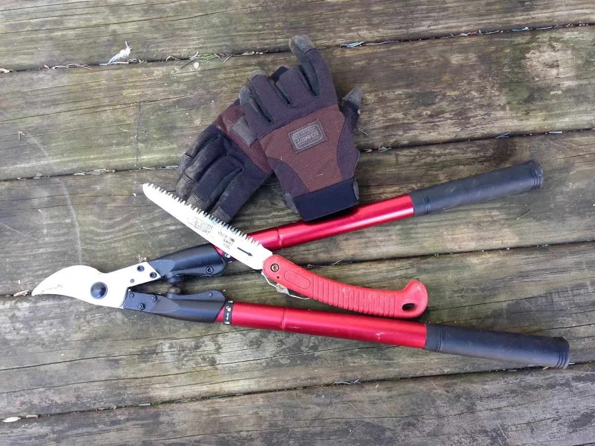 All Points Tree Service INC gallery 2