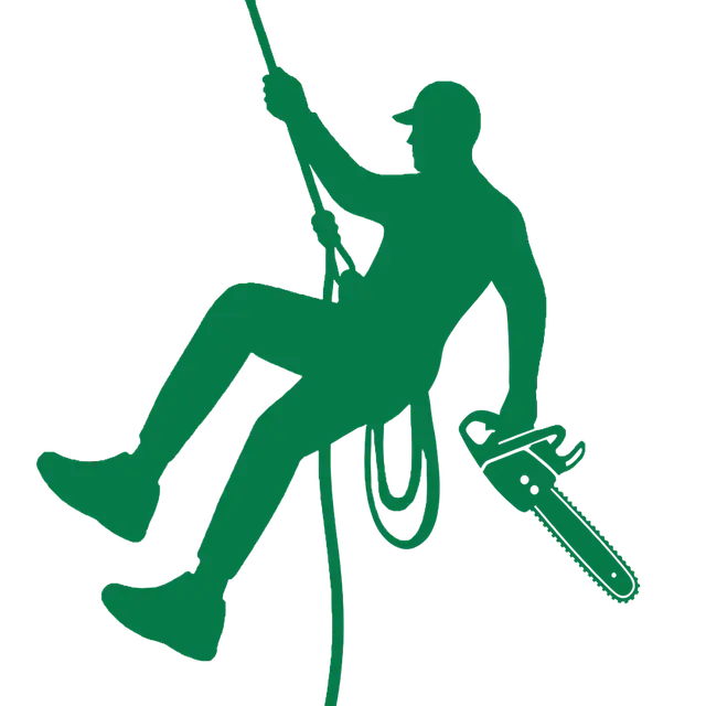 All season tree service gallery 3