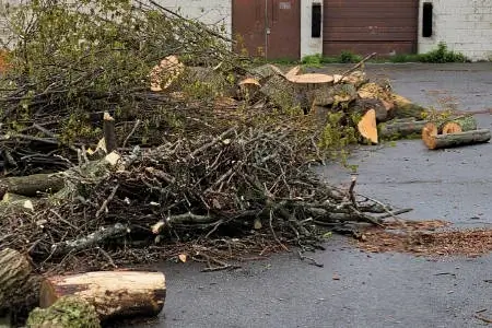 All Seasons Tree Services NY gallery 4