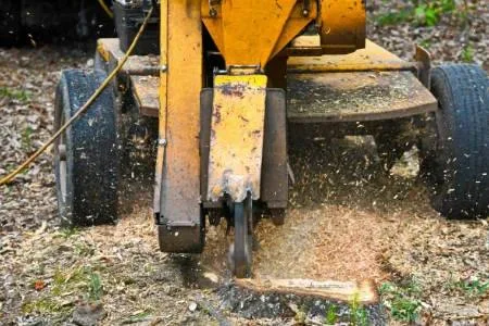 All Seasons Tree Services NY gallery 5