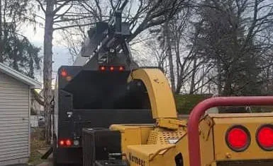 All Seasons Tree Services NY gallery 7