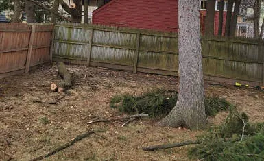 All Seasons Tree Services NY gallery 10