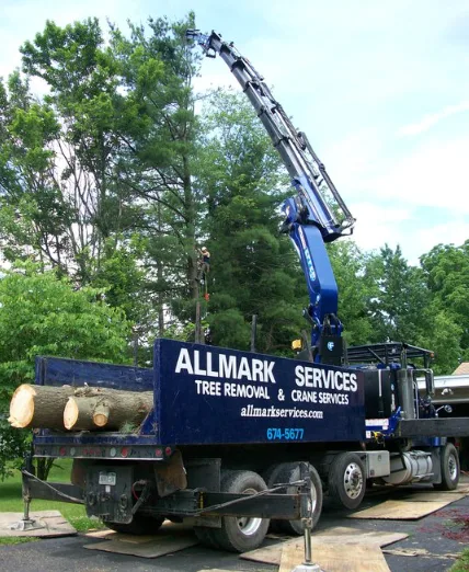 Allmark Tree & Crane Service