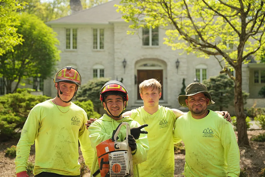AllScapes Tree Service - Emergency Tree Removal, Trimming, Installation and Stump Grinding - Exeter, RI Office